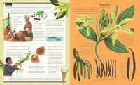 Jonathon Drori: The Stuff that Stuff Made, illustrated by Raxenne Maniquiz and Jiatong Liu