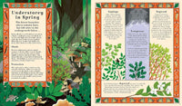 Kevin Parr: Woodlore, illustrated by Anja Susanj