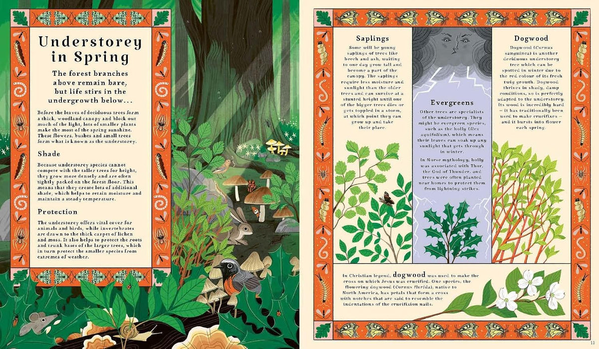 Kevin Parr: Woodlore, illustrated by Anja Susanj