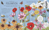 Helen Brown: Nature Explained, illustrated by Claire Scully
