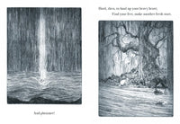 Robert Macfarlane: Firefly, illustrated by Luke Adam Hawker