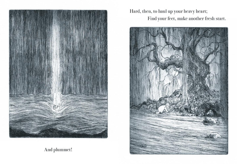 Robert Macfarlane: Firefly, illustrated by Luke Adam Hawker