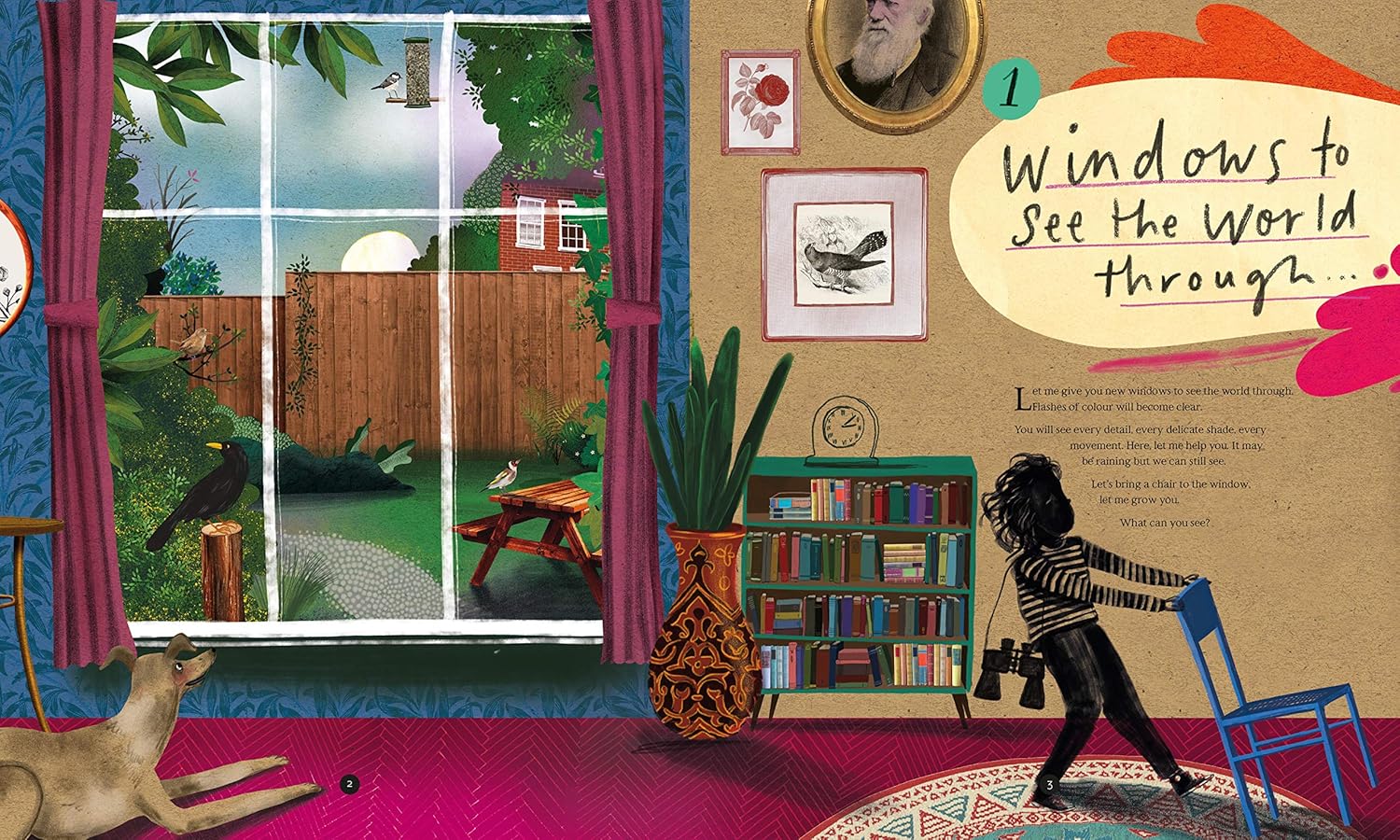 Dara McAnulty: Wild Child: A Journey Through Nature, illustrated by Barry Falls