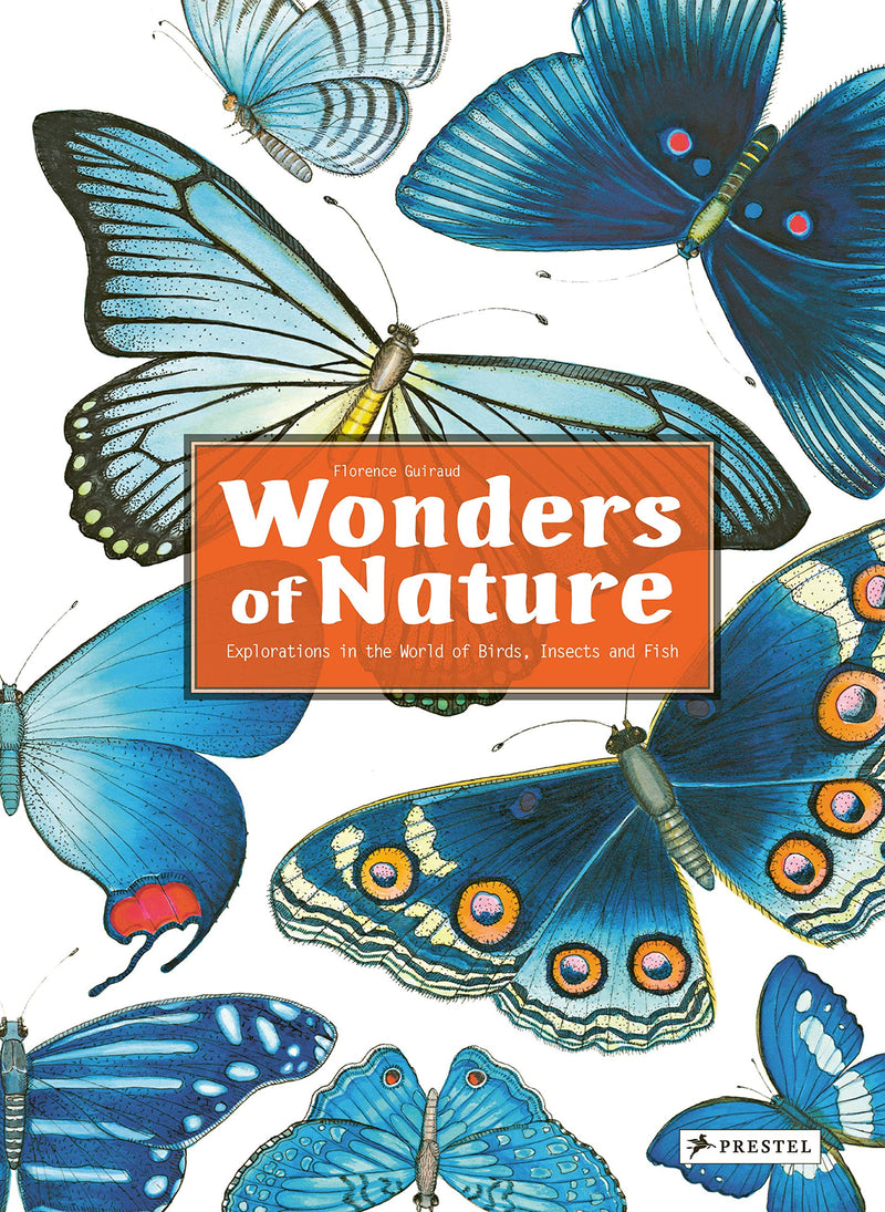 Florence Guiraud: Wonders of Nature - Explorations in the World of Birds, Insects and Fish