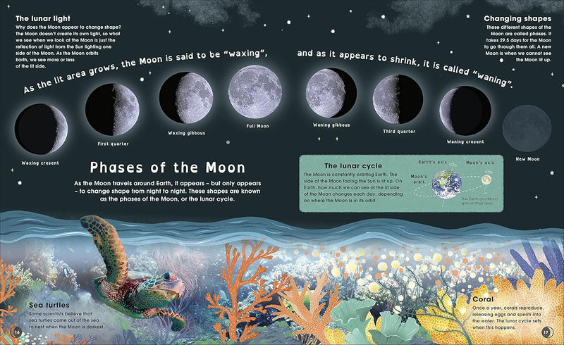 Dr. Sanlyn Buxner, Dr. Pamela Gay & Dr. Georgiana Kramer: The Moon, illustrated by Dawn Cooper