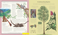 Jonathon Drori: The Stuff that Stuff Made, illustrated by Raxenne Maniquiz and Jiatong Liu