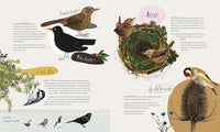 Dara McAnulty: Wild Child: A Journey Through Nature, illustrated by Barry Falls