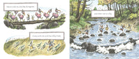 Cosmo Sheldrake: Come Along, illustrated by Liniers