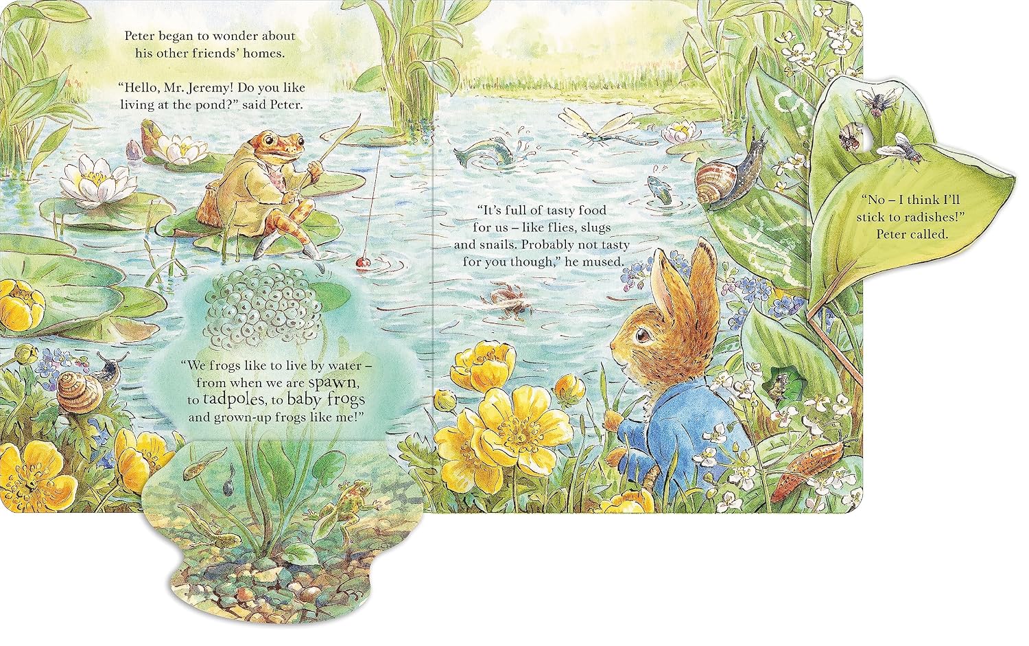 Beatrix Potter: Peter Rabbit - Forest Homes, A Peep-Inside Tale