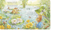 Beatrix Potter: Peter Rabbit - Forest Homes, A Peep-Inside Tale