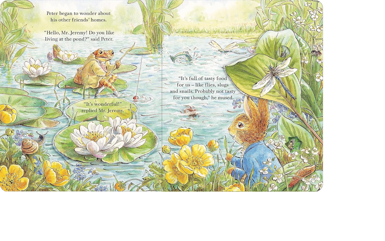 Beatrix Potter: Peter Rabbit - Forest Homes, A Peep-Inside Tale