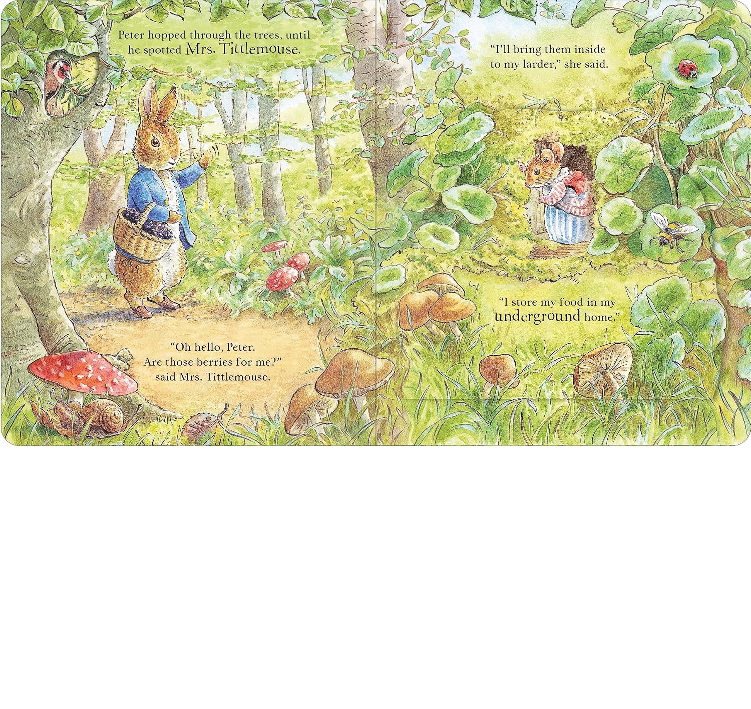 Beatrix Potter: Peter Rabbit - Forest Homes, A Peep-Inside Tale