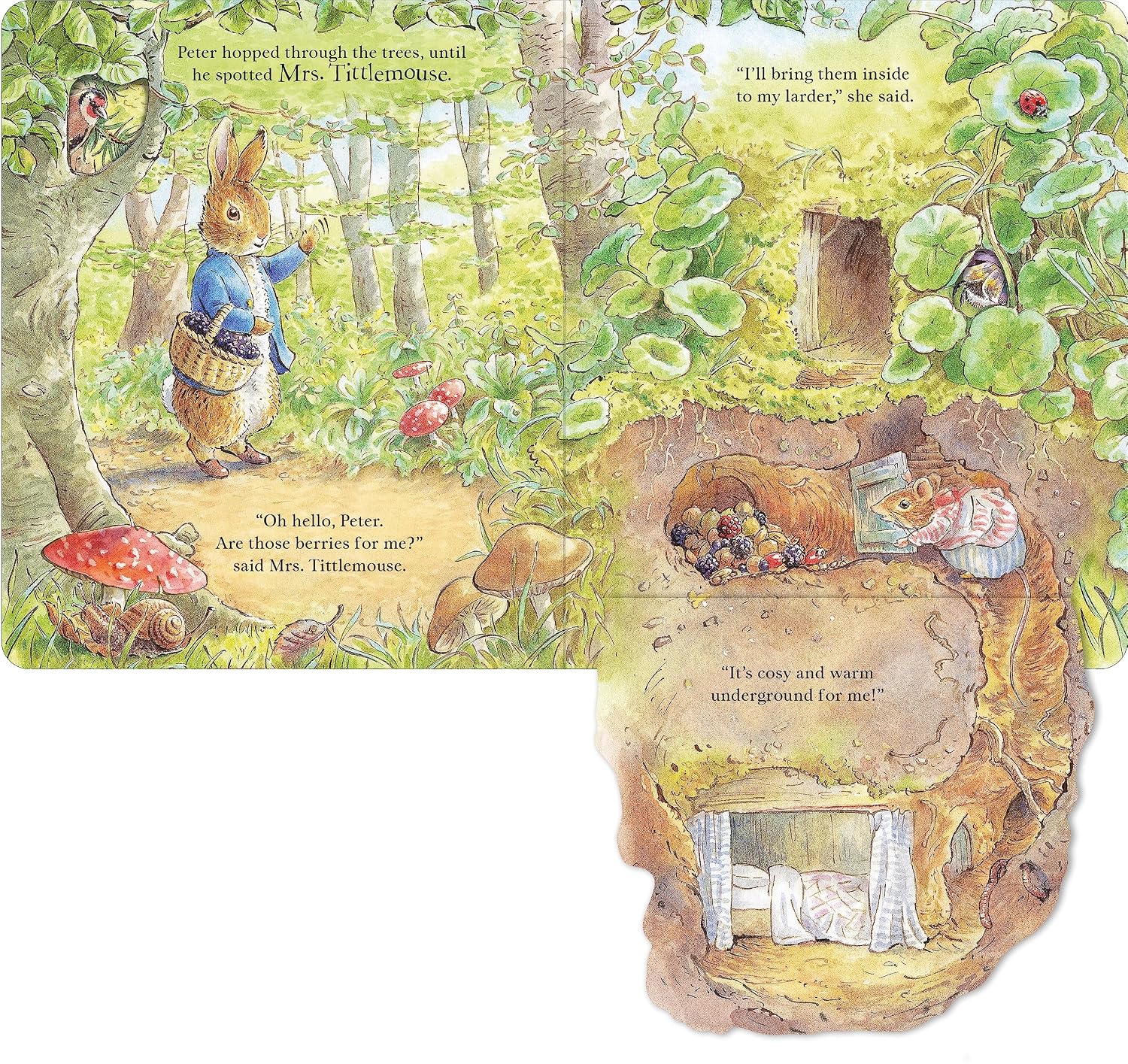 Beatrix Potter: Peter Rabbit - Forest Homes, A Peep-Inside Tale