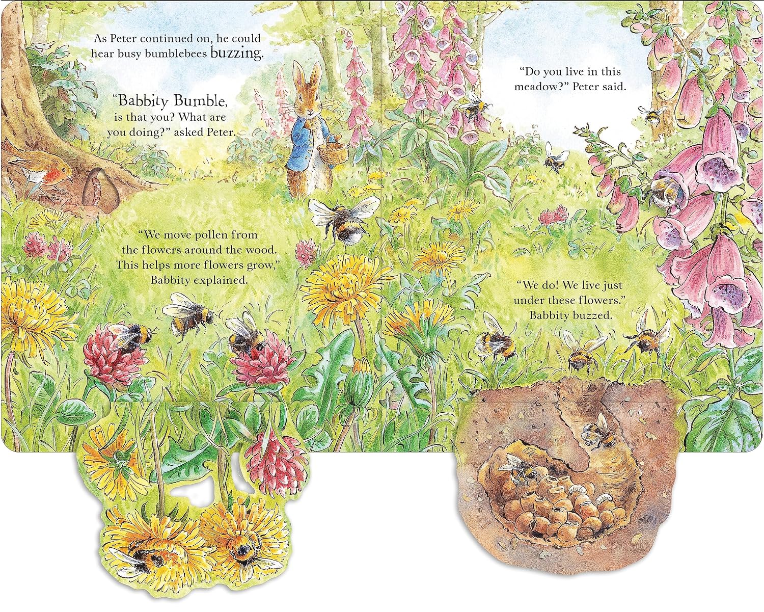 Beatrix Potter: Peter Rabbit - Forest Homes, A Peep-Inside Tale