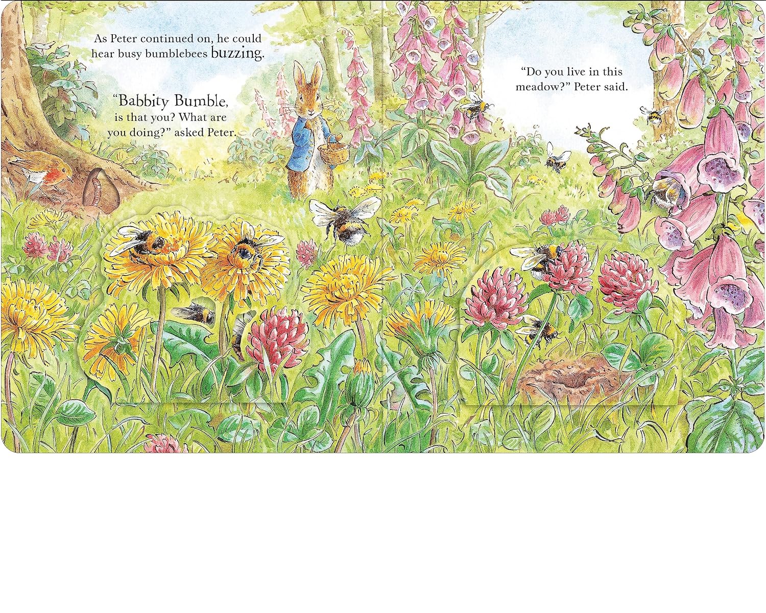 Beatrix Potter: Peter Rabbit - Forest Homes, A Peep-Inside Tale