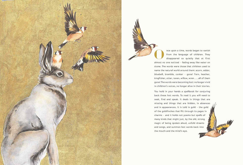 Robert Macfarlane and Jackie Morris: The Lost Words – Tales for Tadpoles