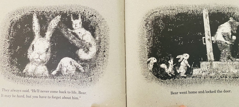 Kazumi Yumoto: The Bear and the Wildcat, illustrated  by Komako Sakai