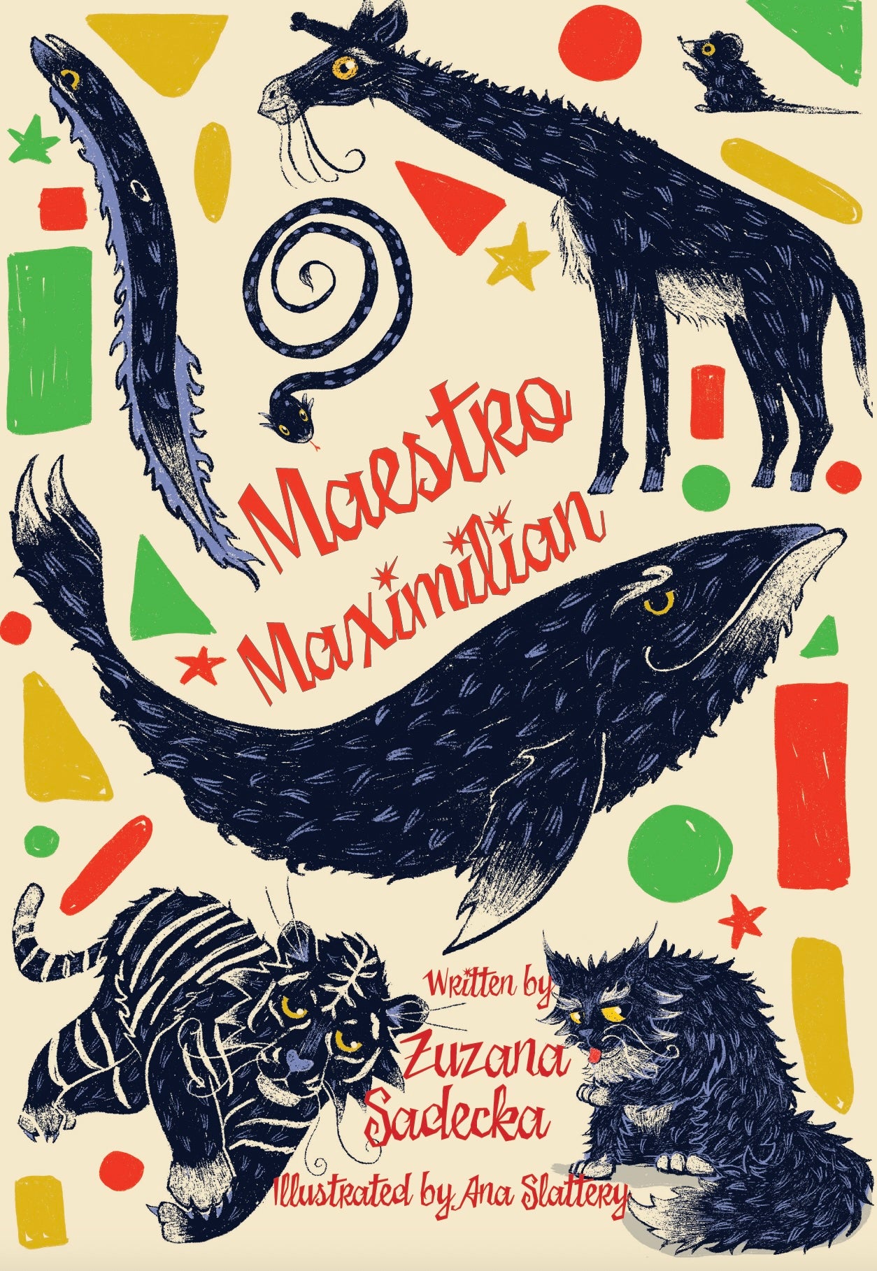Zuzana Sadecka: Maestro Maximilian, illustrated by Ana Slattery