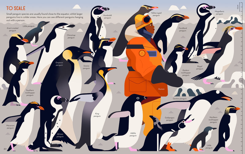 Owen Davey: Passionate about Penguins