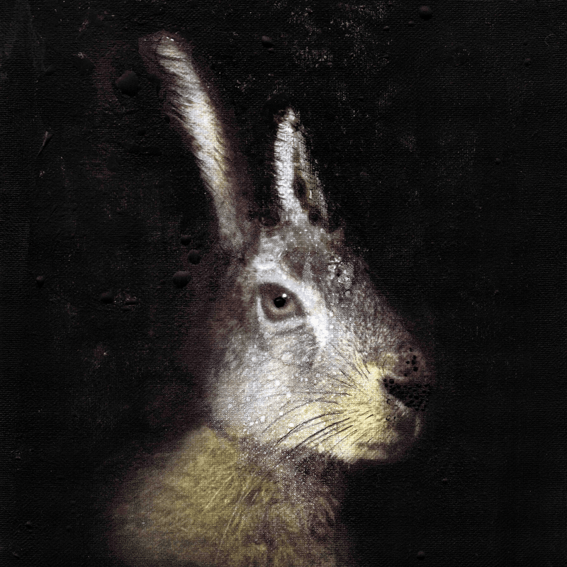 Greeting Card: Kelly Hood - Mystic Hare (Square)
