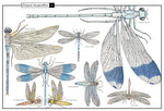 Florence Guiraud: Wonders of Nature - Explorations in the World of Birds, Insects and Fish