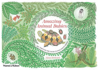 Aina Bestard: Amazing Animal Babies - Tales for Tadpoles