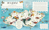 Alice Albinia: Once Upon an Island, illustrated by Helen Cann - Tales for Tadpoles