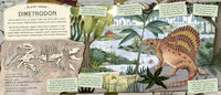 Amy Atwater: Fossil Keeper's Treasure, illustrated by Natalia Cardozo - Tales for Tadpoles