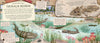Amy Atwater: Fossil Keeper's Treasure, illustrated by Natalia Cardozo - Tales for Tadpoles