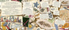 Amy Atwater: Fossil Keeper's Treasure, illustrated by Natalia Cardozo - Tales for Tadpoles