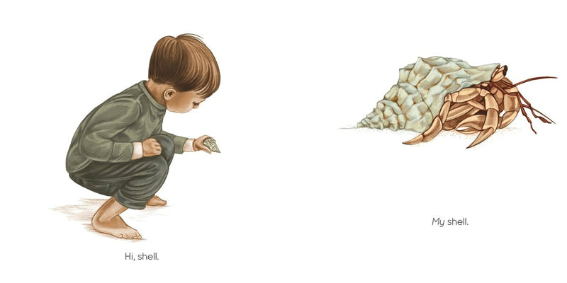 Amy Sky Koster: Seashell, illustrated by Lisel Jane Ashlock - Tales for Tadpoles