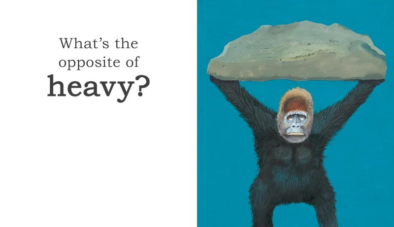 Anthony Browne: Big Gorilla - A Book of Opposites - Tales for Tadpoles