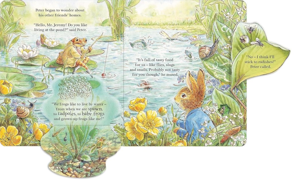 Beatrix Potter: Peter Rabbit - Forest Homes, A Peep-Inside Tale - Tales for Tadpoles