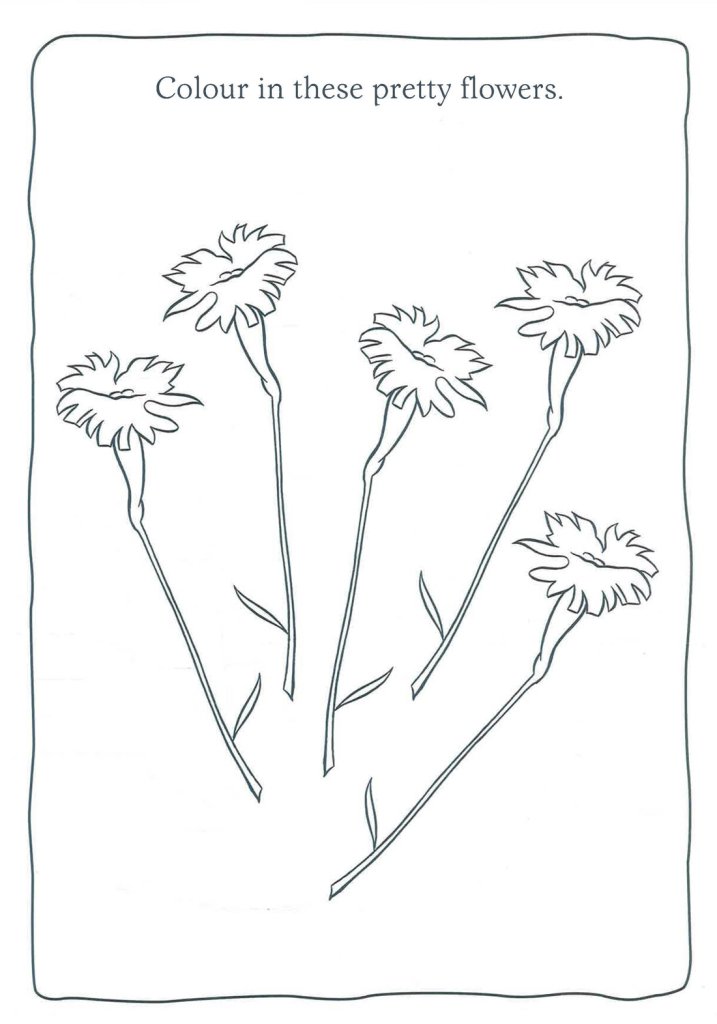 Beatrix Potter: Peter Rabbit - Great Outdoors Colour and Doodle Book - Tales for Tadpoles