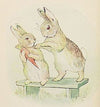 Beatrix Potter: The Story of a Fierce Bad Rabbit - Tales for Tadpoles