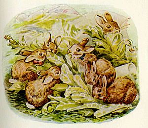 Beatrix Potter: The Tale of The Flopsy Bunnies - Tales for Tadpoles