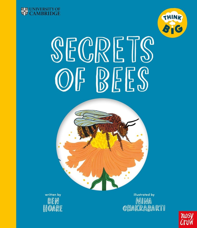 Ben Hoare: Secrets of Bees, illustrated by Nina Chakrabarti - Tales for Tadpoles