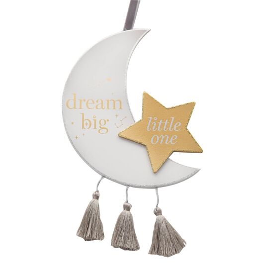 Hanging Plaque: Moon 'Dream Big Little One'