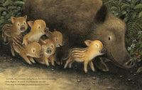 Briony May Smith: Hogbert - Tales for Tadpoles