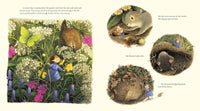 Briony May Smith: Tiny Jenny - Tales for Tadpoles