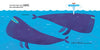 Caspar Salmon: How to Count to One, illustrated by Matt Hunt - Tales for Tadpoles