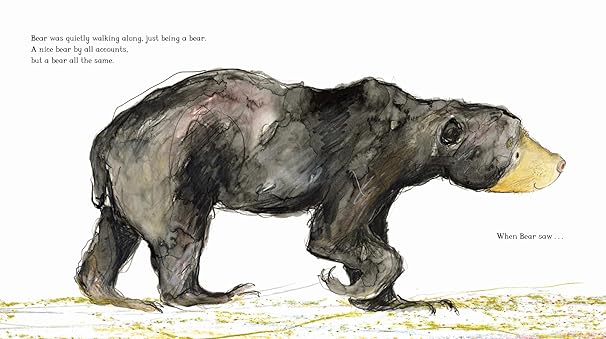 Catherine Rayner: Five Bears - Tales for Tadpoles
