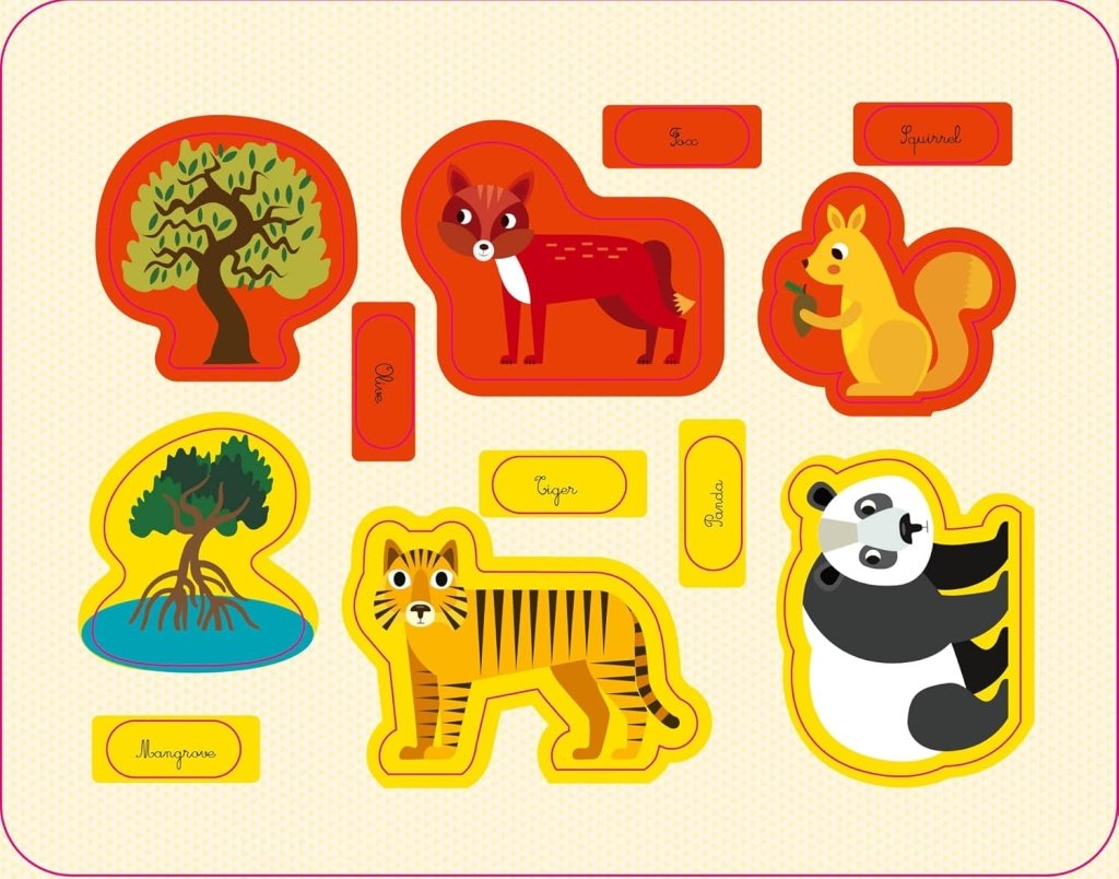 Chiara Piroddi: My First Box of The World: Montessori: A World of Achievements, Illustrated by Agnese Baruzzi - Tales for Tadpoles