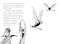 Chris Riddell: Goth Girl and the Fete Worse Than Death - Tales for Tadpoles