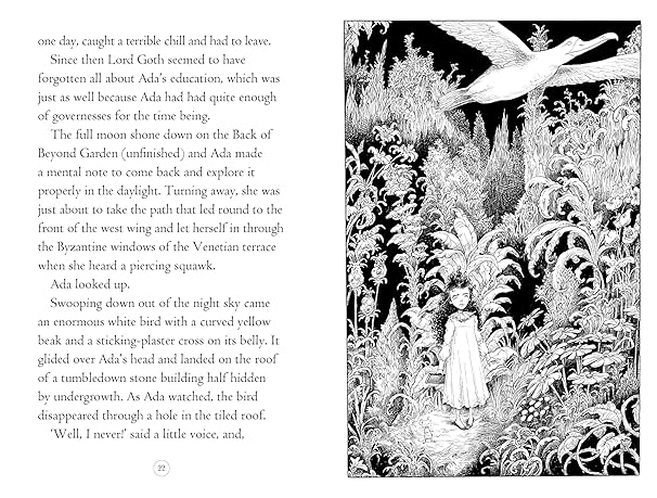 Chris Riddell: Goth Girl and the Ghost of a Mouse - Tales for Tadpoles