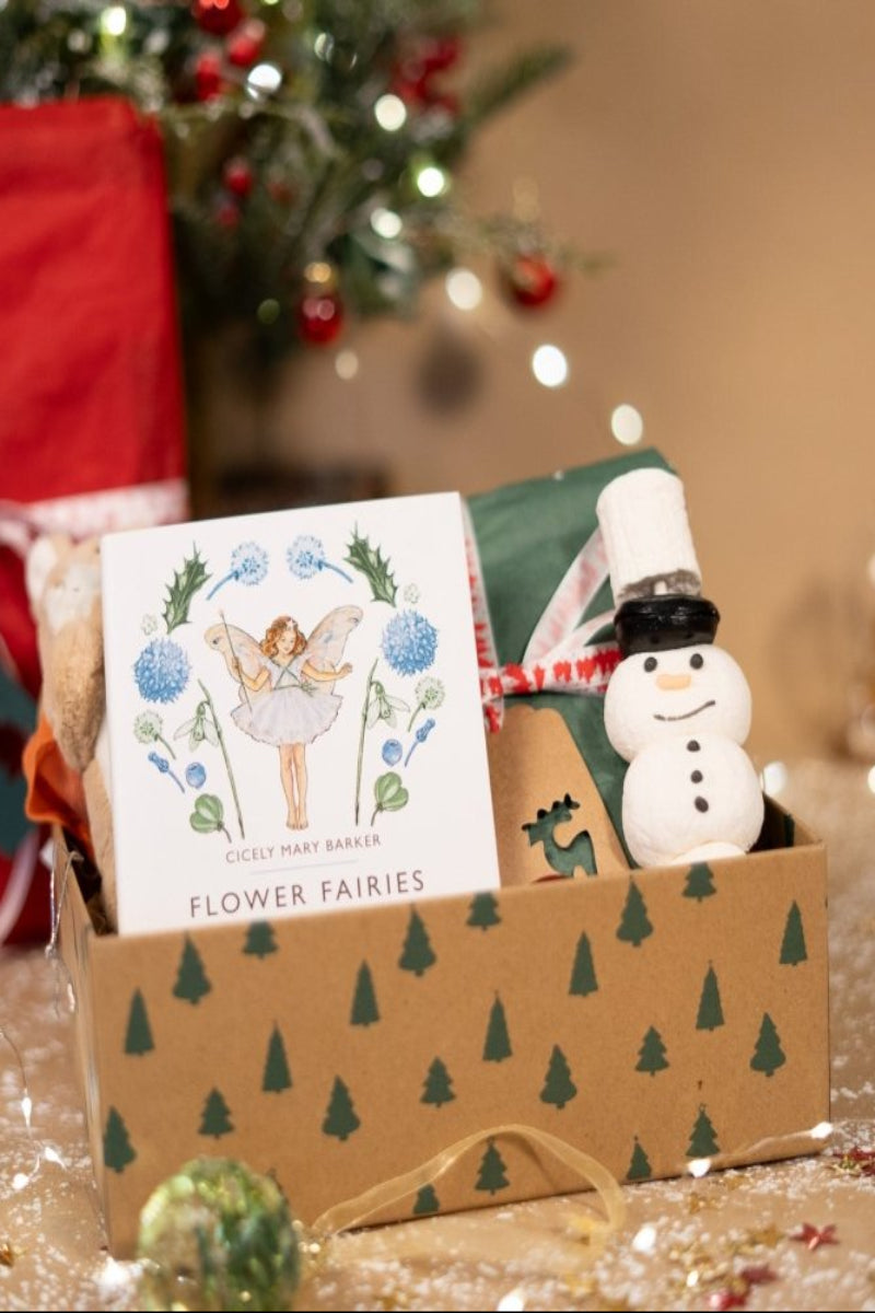 CHRISTMAS Gift Box!: Regular - Tales for Tadpoles