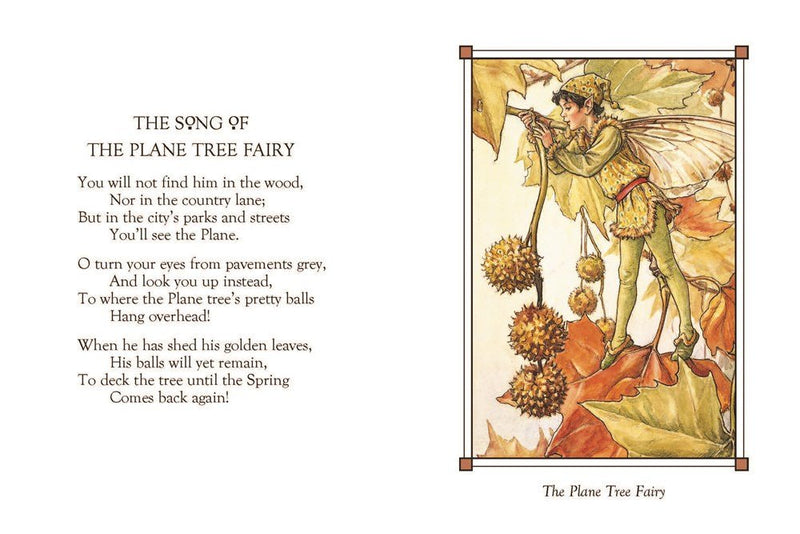 Cicely Mary Barker: Flower Fairies of the Winter - Tales for Tadpoles