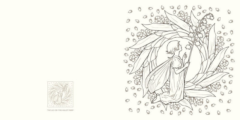 Cicely Mary Barker: The Flower Fairy Colouring Book - Tales for Tadpoles