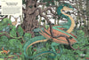 Curatoria Draconis: The Dragon Ark, illustrated by Tomislav Tomic - Tales for Tadpoles