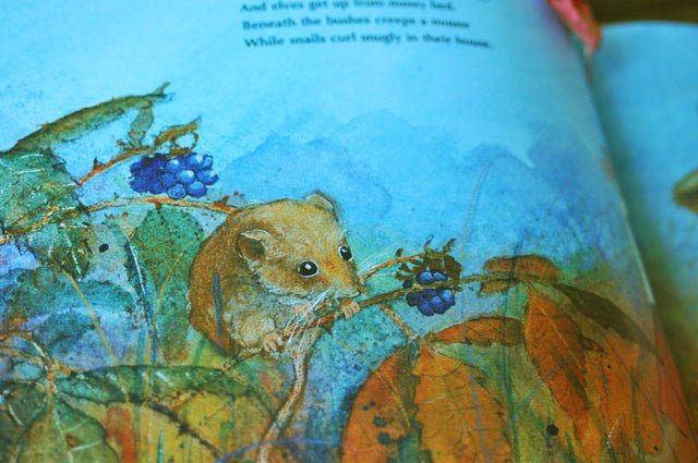 Daniela Drescher: In the Land of Fairies - Tales for Tadpoles